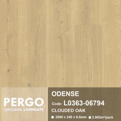 ODENSE L0363-06794